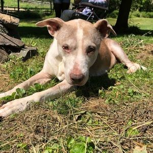 Meet your Posher, Ty